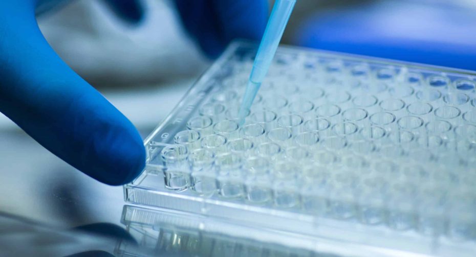 Full Template Test rename