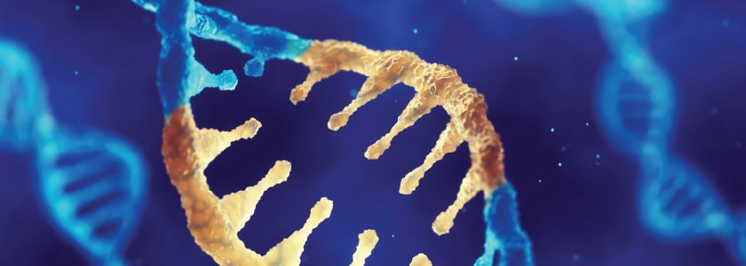 The hype behind gene editing: Myth busting CRISPR