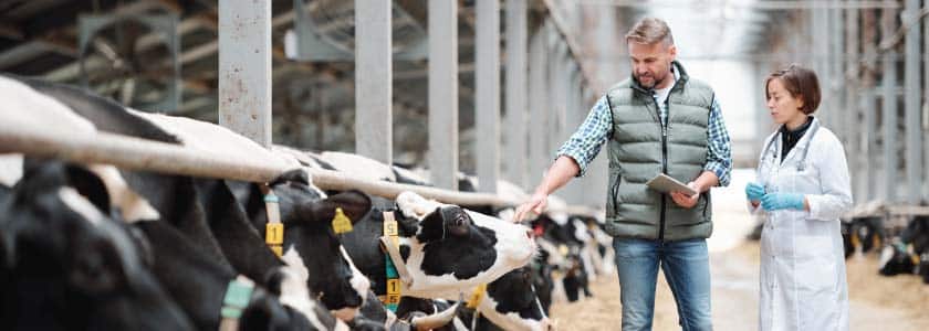 What will the food of the future look like?