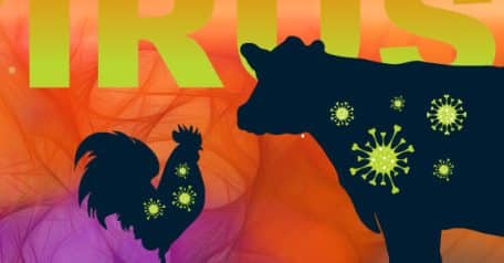 New bird flu variant has public health officials on edge