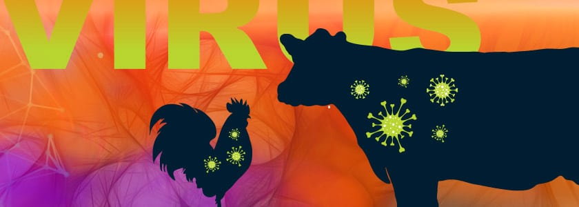 New bird flu variant has public health officials on edge