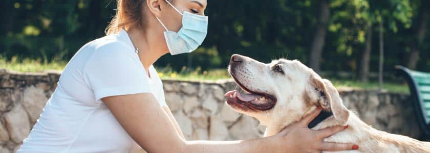 Did I just give my pet COVID-19?