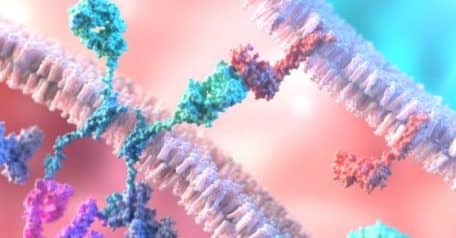 The future of CAR T: where we’re going and how CRISPR can help us get there