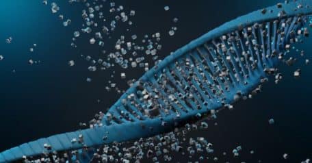 Transcription and translation: 5 differences to know about