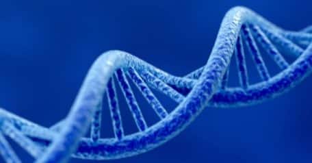 Unveiling the potential of cell-free DNA