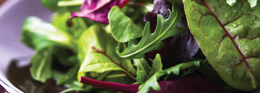 PCR identified as a method to combat food-borne pathogens