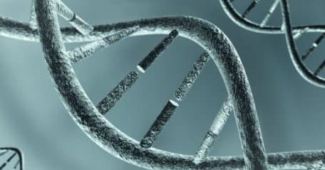 DNA extraction: Here's what you need to know