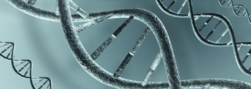 DNA extraction: Here's what you need to know