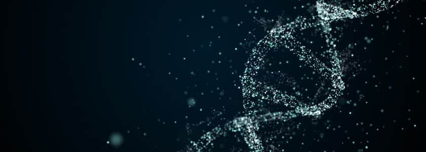 What is gene expression? A DNA instruction manual