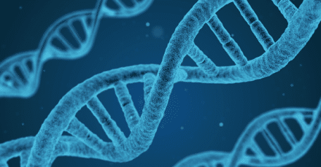 Recent CRISPR News: Therapy for MD, studies about Alzheimer’s, and an end to heart attacks?