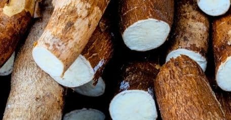 CRISPR-editing a crucial food to make it safer for humans