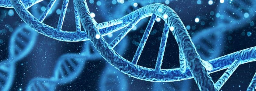 Leveraging digital droplet PCR (ddPCR) for accurate quantification of amplifiable DNA