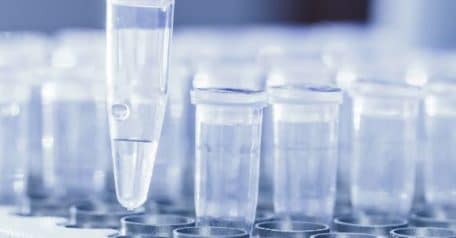 Latest PCR, qPCR, and genomics news headlines