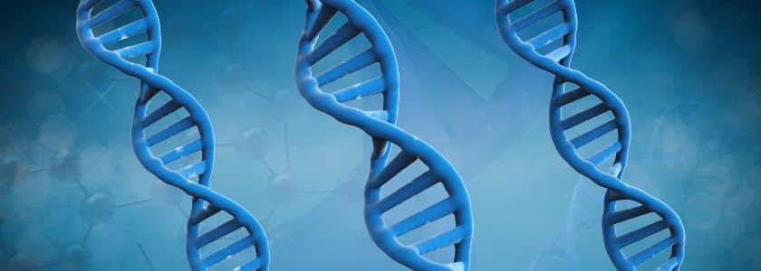 SNP vs. SNV: What is the difference and why should you care?