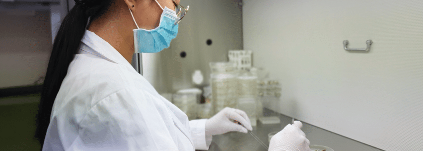 New high-volume CRISPR editing options, courtesy of Cas3