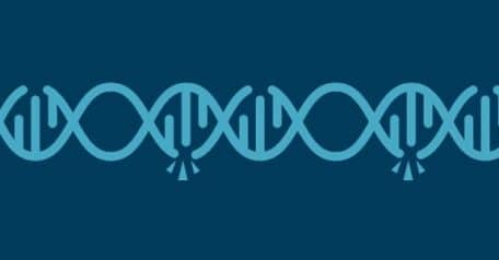 Deciphering the mysteries of missense mutations