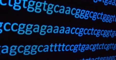 Understanding promoters in genetics: Key to gene expression regulation