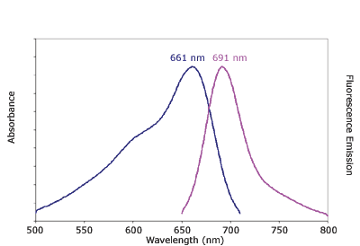 Absorbance and Fluorescence Emission